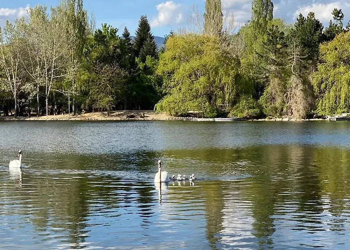 Amplio En Puigcerdà