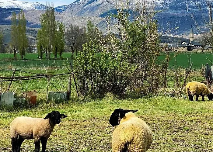 Amplio En Apartmán